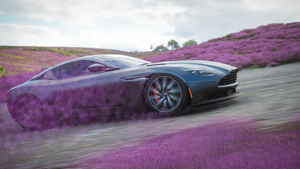 Forza Horizon 4 / Flowers